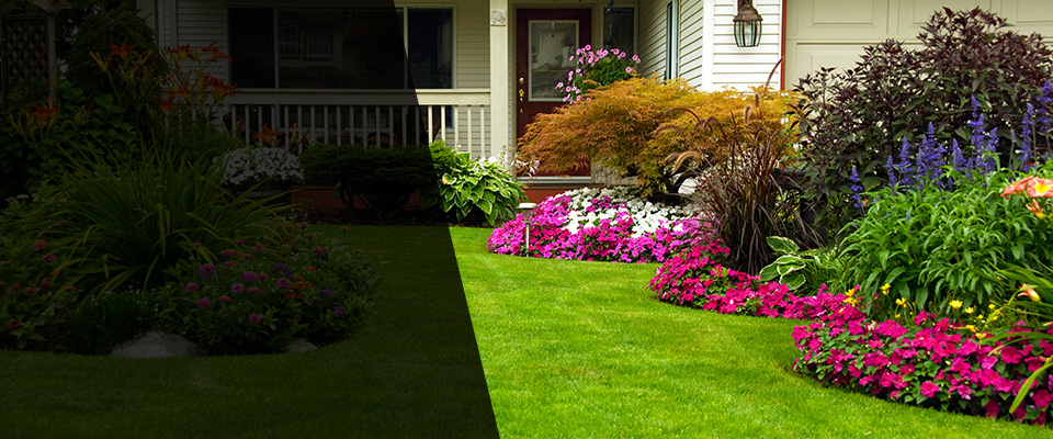 Plainville Landscapers