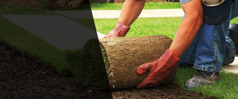 Plainville Landscapers